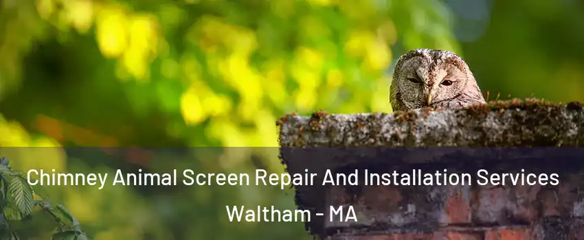  Chimney Animal Screen Repair And Installation Services Waltham - MA