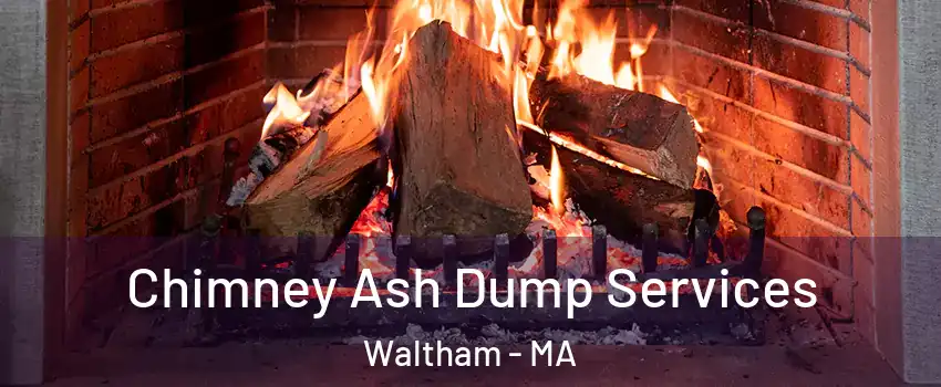  Chimney Ash Dump Services Waltham - MA