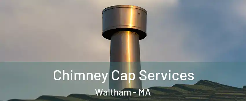  Chimney Cap Services Waltham - MA