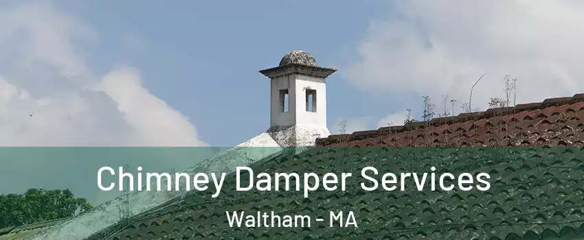  Chimney Damper Services Waltham - MA