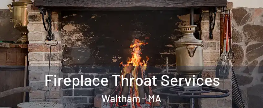  Fireplace Throat Services Waltham - MA