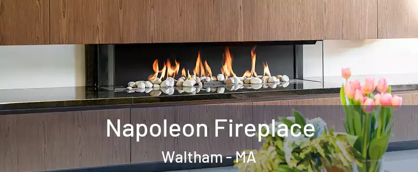  Napoleon Fireplace Waltham - MA