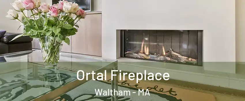 Ortal Fireplace Waltham - MA